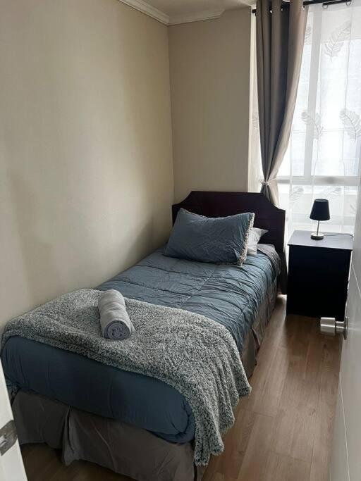 Apartamento Acogedor Departamento En Santiago
